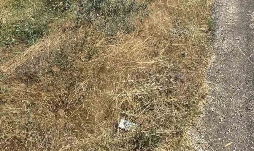 Boztepe'de hayvan yüklü tırın devrilmesi sürücüyü korkuttu