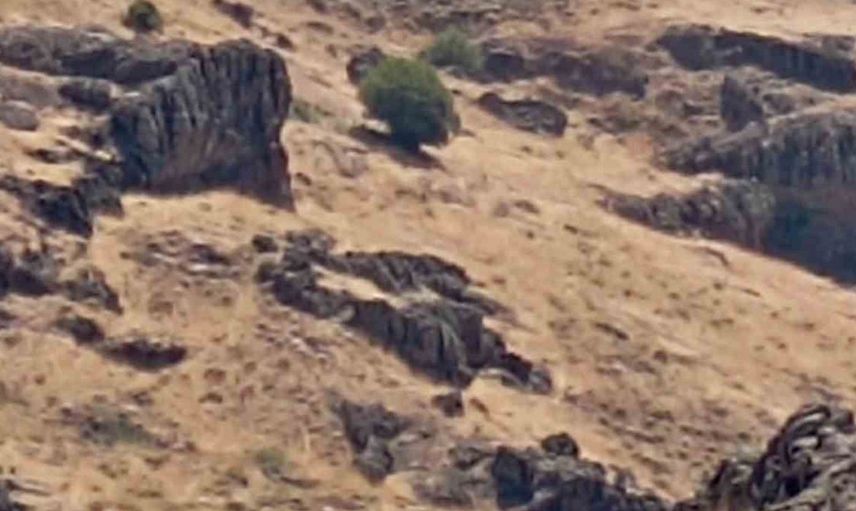 Tunceli'nin nazımiye ilçesinde orman yangınına müdahale devam ediyor