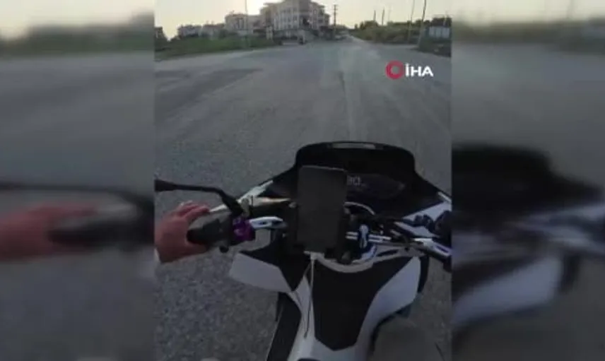 Antalya'da yavru köpeği taşla öldüren Alman vatandaşı sınır dışı edildi