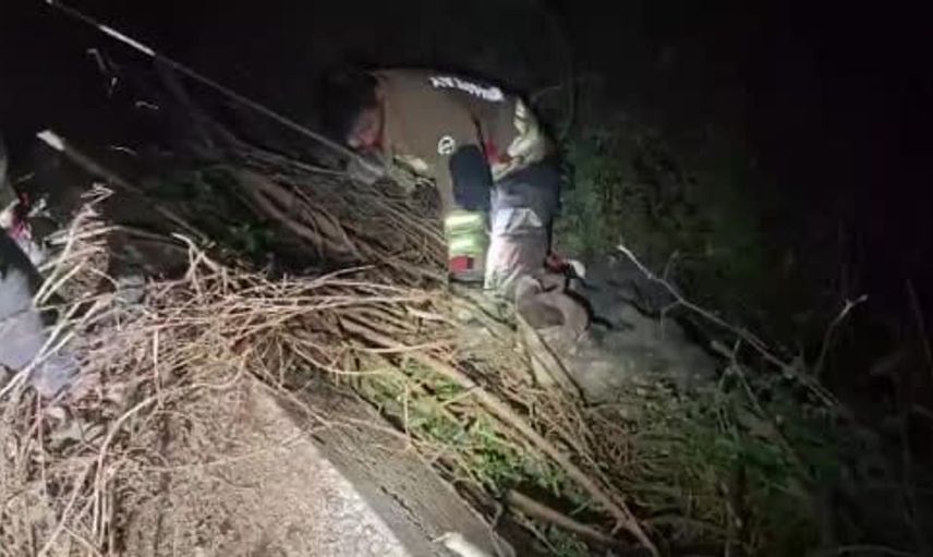 Asi Nehri'nde koç kurtarma operasyonu: İtfaiye ekipleri başarılı oldu