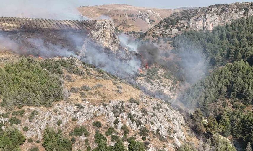 Hatay'daki orman yangını başarılı müdahale ile söndürüldü