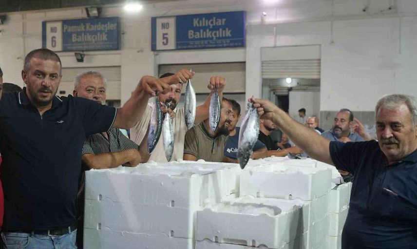 Karadeniz'de balık sezonu: Palamut ve hamsi bereketi