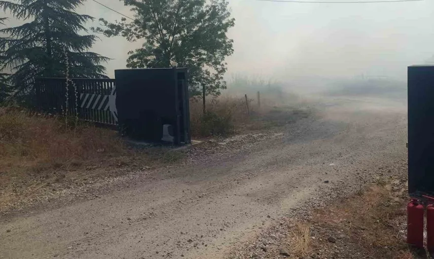 Kırşehir'de üç yangında geniş tarım arazileri zarar gördü