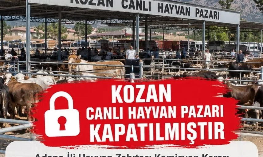 Kozan'daki canlı hayvan pazarı şap hastalığı nedeniyle kapatıldı
