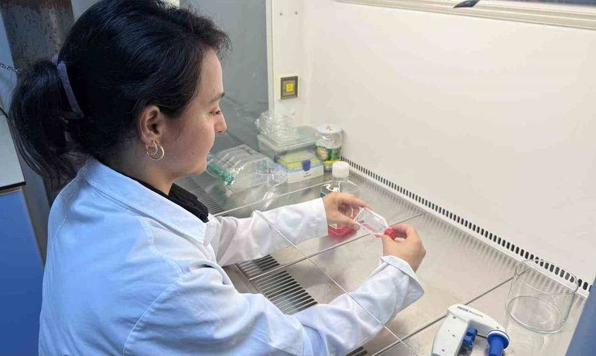 Kanser tedavisine yenilikçi yaklaşım: Tokat üniversitesinden akıllı ilaç taşıyıcı sistem