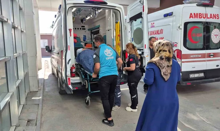 İncir toplarken ağaçtan düşen vatandaş hastaneye kaldırıldı