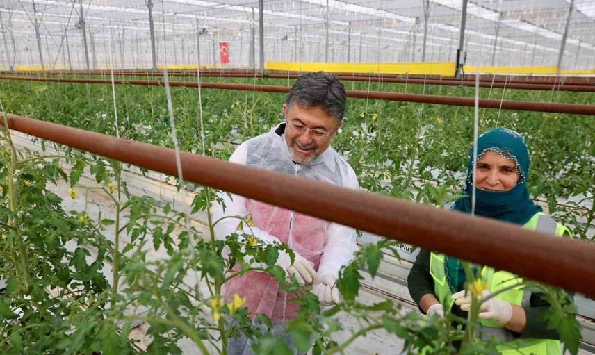 Erzincan'daki jeotermal sera ziyaretinde bakan yumaklı'dan tarımsal enerji vurgusu