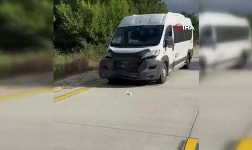 Silivri'de panelvan araç, yaban domuzuna çarptı: Olay yerinde yaşananlar