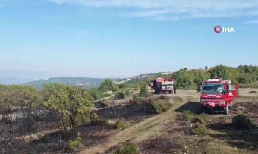 Vezirhan'da bahçe temizliği sırasında yangın paniği: 2 hektar zarar gördü