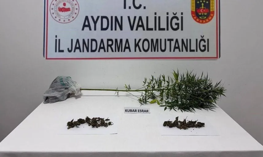 Söke'de narkotik köpeği ile gerçekleştirilen operasyonda uyuşturucu madde bulundu
