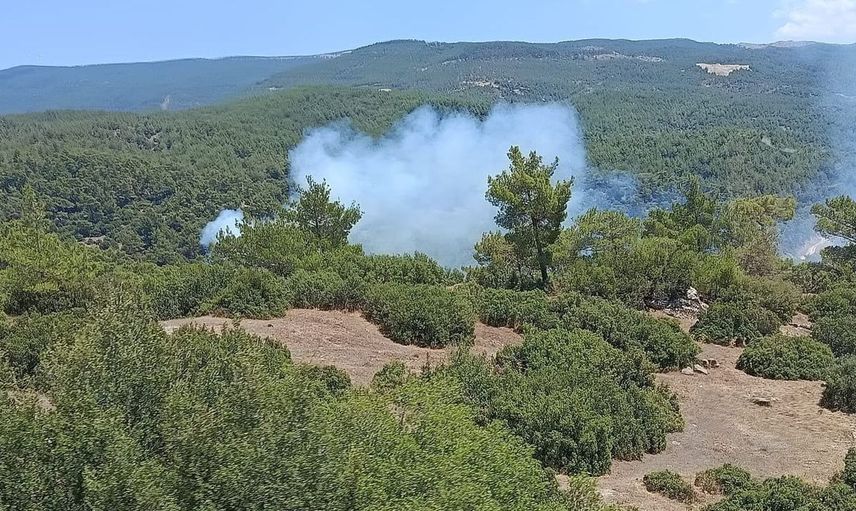 Aydın'da orman yangını riski kritik seviyede