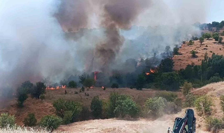 Pütürge'deki büyük yangın başarılı müdahale ile kontrol altına alındı