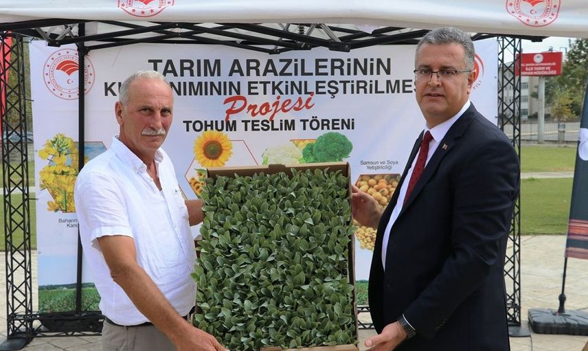Bafra Ovası'nda 347 Bin Sebze Fidesi Dağıtıldı