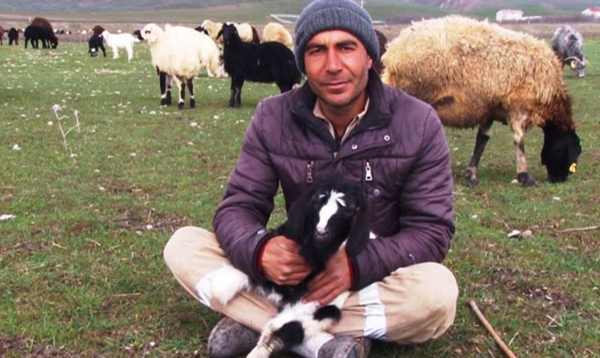 Baharın Gelmesiyle, Besicilerin Yüzü Güldü