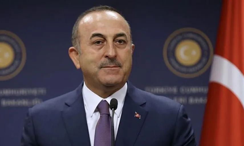 Bakan Çavuşoğlu, Avrupa Konseyi'nin Yeni Genel Sekreteri Buric'i Tebrik Etti