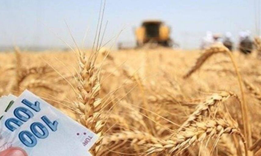 Bakan Kirişçi beklenen haberi verdi: Ödemeler bugün başladı! 756,6 milyon liralık destek hesaplara yattı