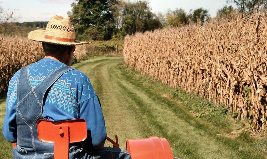 Bakan Kirişçi duyurdu! Hesaplarınızı kontrol edin