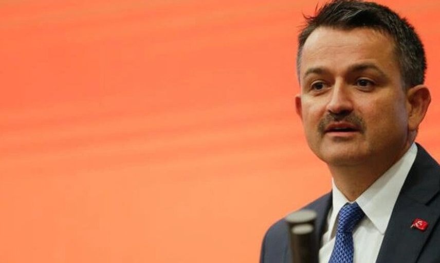 Bakan Pekdemirli: Orman Yangınları ile Mücadele ve Ormancılık Faaliyetlerinde Çalıştırılmak Üzere İşçi Alacak