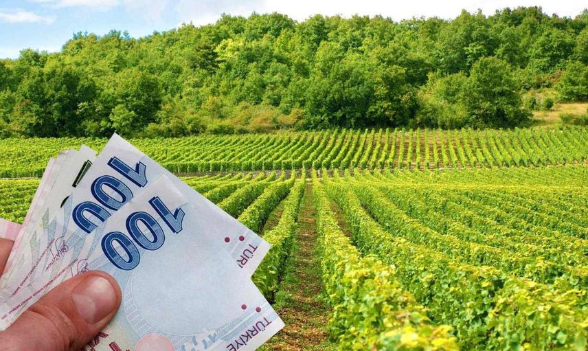 Bakan Yumaklı'dan müjde: Çiftçilere 3 Milyar 495 milyon lira tarımsal destek ödemesi yapıldı!
