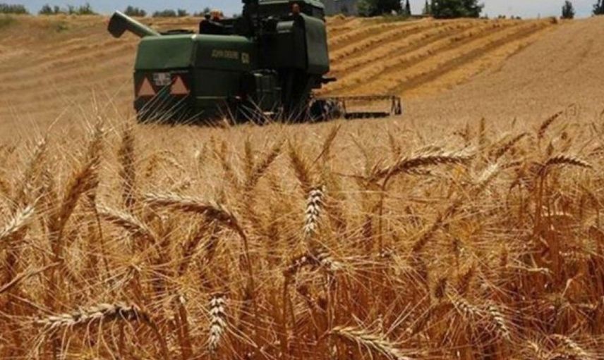 Bakanlık Duyurdu! Devletten Üreticilere 210 milyon 44 bin 627 lira Dev Destek Geldi