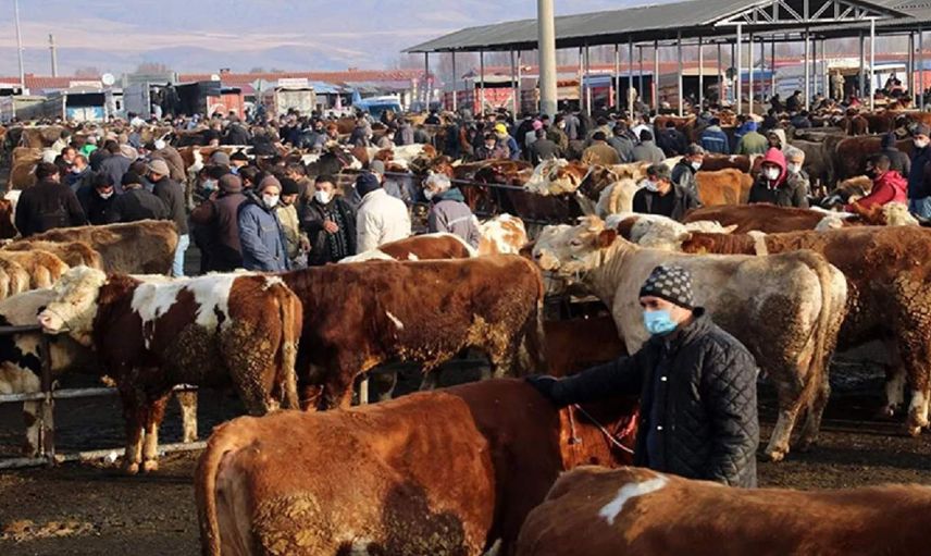 Bakanlık kırmızı alarm verdi: Ülke genelinde önlemler alındı