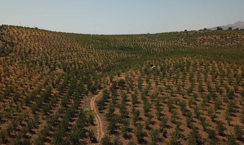 Bakanlık tarafından Çölleşme ve Erozyonla Mücadele için mega proje: 8 ana su havzasında 19 proje başlatıldı