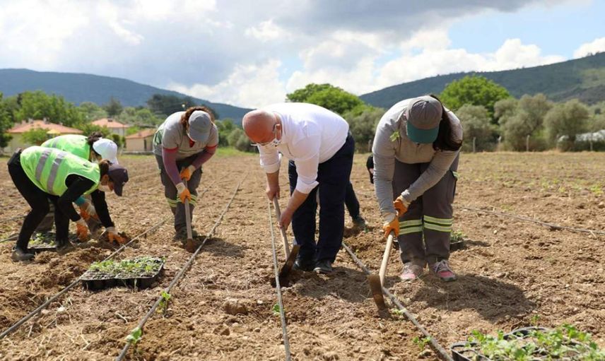 Bakanlıktan büyük destek: 300 milyon lira ödeme yapılacak