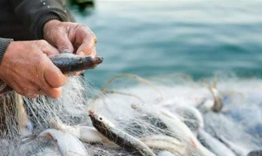 Balık avı yasağı ne zaman başlıyor? Balık avı yasağı tarihleri 2022