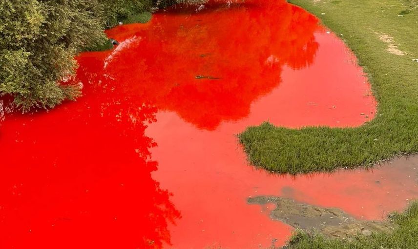Balıkesir’de ortaya çıkan skandal görüntüler sonrası Çevre, Şehircilik ve İklim Değişikliği Bakanlığı harekete geçti