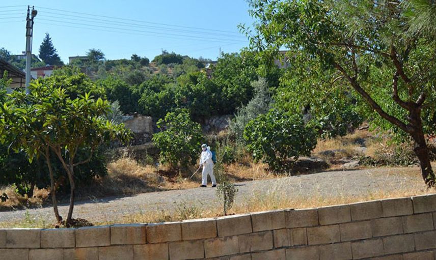 Bartın'da 4 Mahalle Karantina Altına Alındı