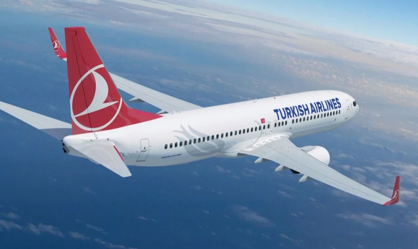 Başıboş Köpek Havalimanında Uçak Trafiğini Aksattı