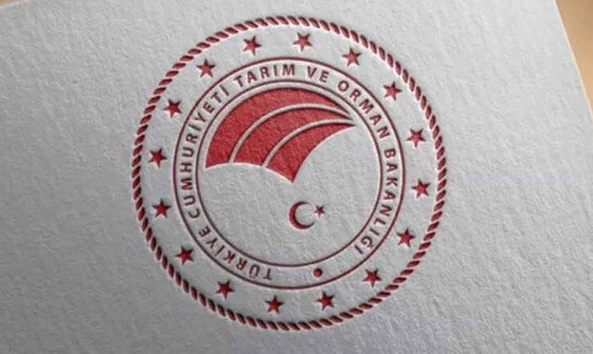Başkan Erdoğan'ın imzasıyla Bakan Yardımcılarına yönelik atama kararları Resmi Gazete'de yayımlandı!