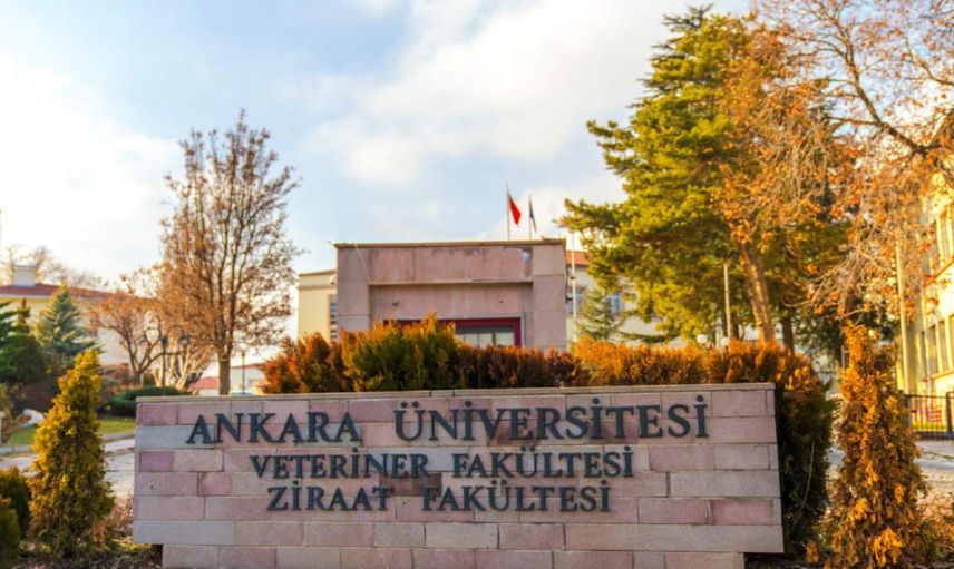 Başvuru tarihleri ve şartlar açıklandı: 1000’e yakın personel alınacak