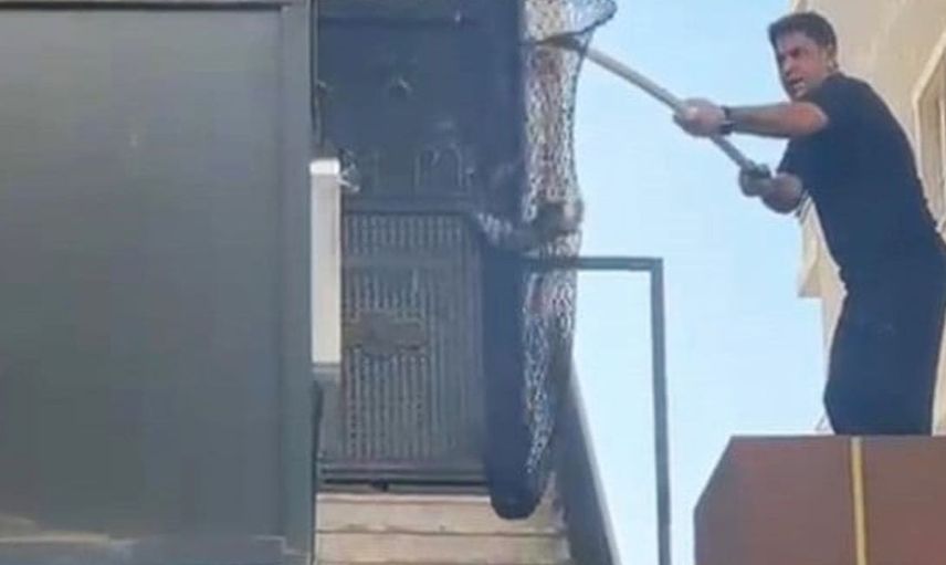 Batman'da kilitli metruk binada mahsur kalan 5 yavru kedi kurtarıldı
