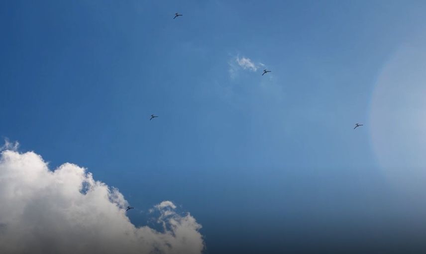 Baykar’ın K2 Kamikaze İHA’sı Sürü Uçuş Testini Başarıyla Tamamladı
