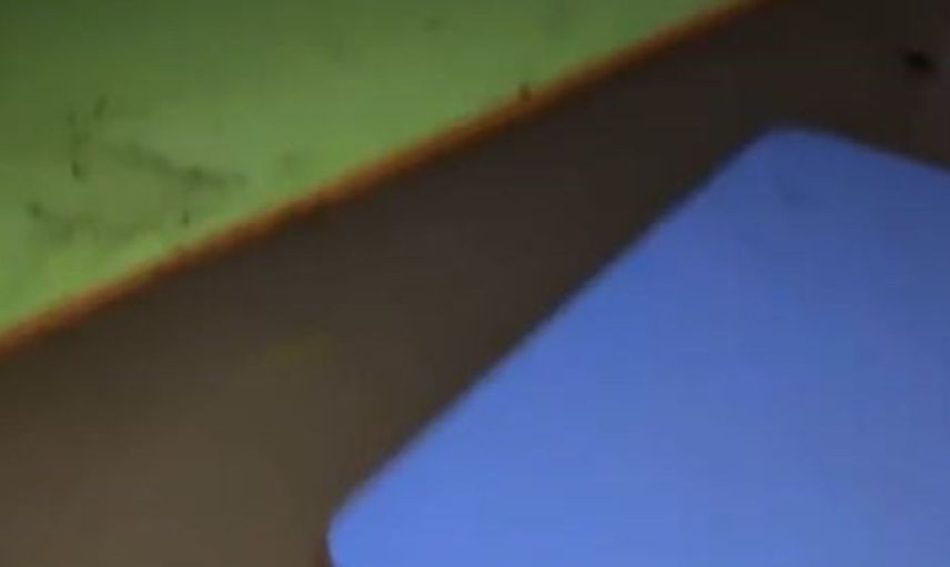 Ersin Esenboğa, su dolan lojmandaki kediyi kurtarıp hayvanseverliğini gösterdi