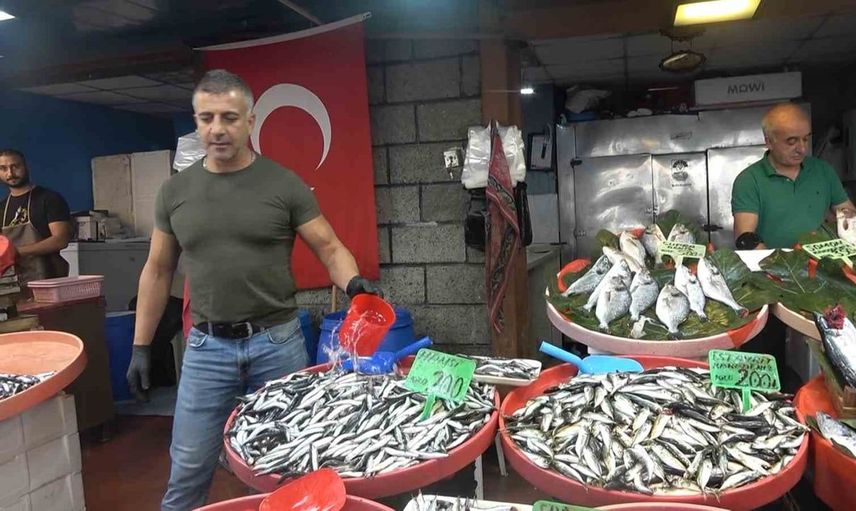Yalova balık hali'nde fiyatlar ve çeşitlilik artıyor
