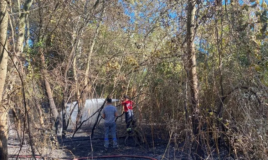 Bodrum'da yangınların önlenmesine büyük destek: Ekipler hızlı müdahaleyle zararları en aza indirdi