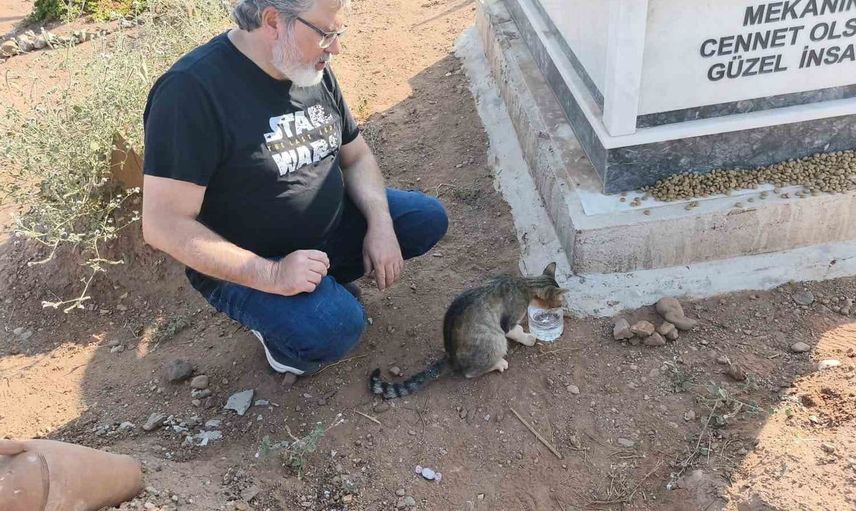 Aydın'da bir kedi, ölen sahibinin mezarının başında vefalı bir bekleyiş sergiliyor