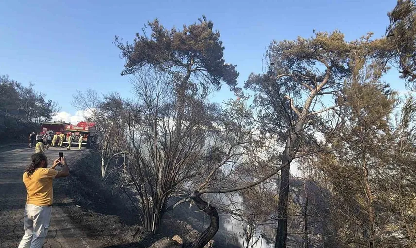 Balıkesir'deki yangınlar kontrol altına alındı: Ekipler soğutma çalışmalarına devam ediyor
