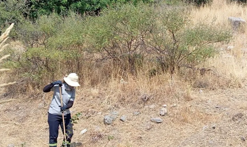 Söke’nin turizm mahallelerinde bakım çalışmaları hız kazandı