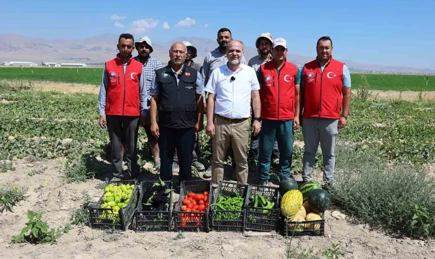 Niğde Ömer Halisdemir Üniversitesi'nde 51 bin fide hasadı yapıldı