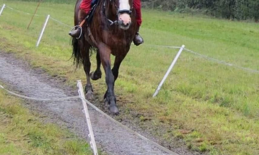 Elazığlı sporcu Avrupa şampiyonasında büyük başarı elde etti