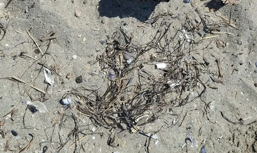 Çanakkale plajında tarihi mühimmat bulundu: Güvenlik önlemleri artırıldı