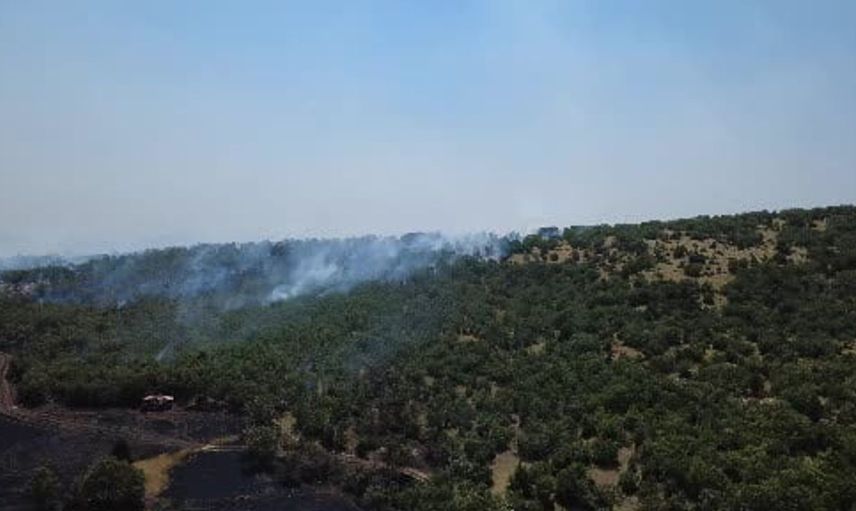 Kütahya'da yangın sonrası köylere valilikten destek sözü