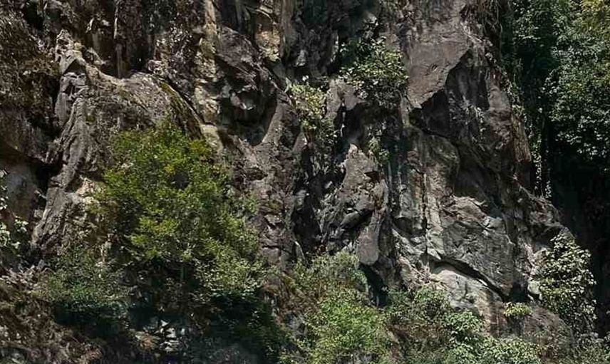 Rize'de otomobilin üzerine kaya düştü: 1 yaralı