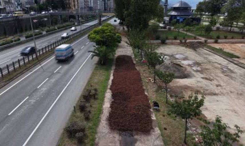 Fındık üreticileri gece-gündüz nöbet tutuyor: Hasat sonrası kurutma zorluğu