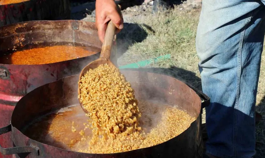Erzincan'da bulgur hazırlığı için büyük kazanlar kaynamaya başladı