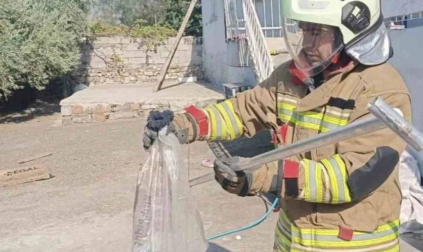 Hatay'da yerleşim alanlarında yakalanan yılanlar doğaya döndürüldü