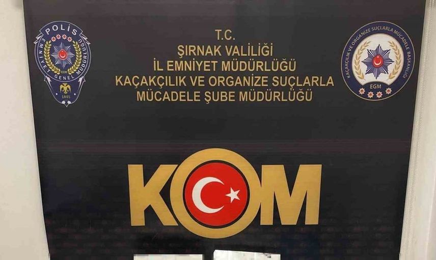Şırnak'ta düzenlenen operasyonlarda 6,5 milyon liralık kaçak malzeme ile bir tutuklama